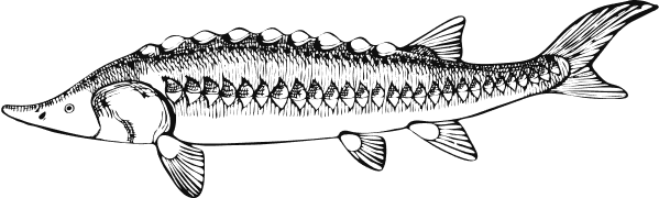 Group